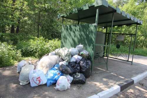 Жителей Подмосковья будут привлекать к ответственности за сброс мусора на остановках