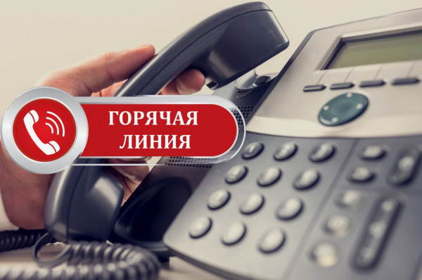 Налоговая инспекция проведет «Горячую линию»