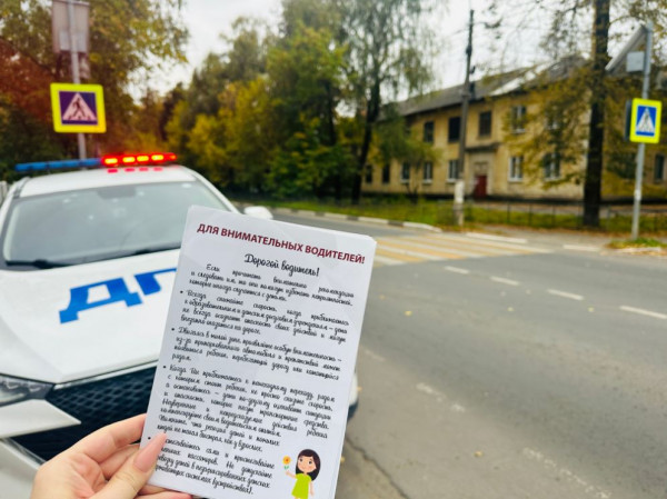 Тормози до перехода, а не после: автоинспекторы и волонтёры провели ликбез для водителей