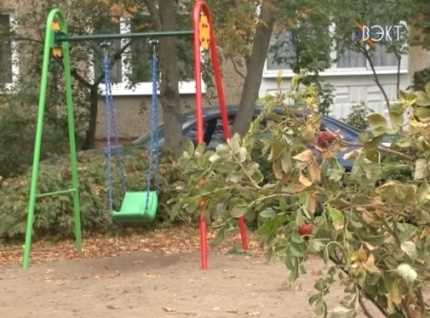 Первые шаги к озеленению. На улице Быковского появилось 35 кустов шиповника