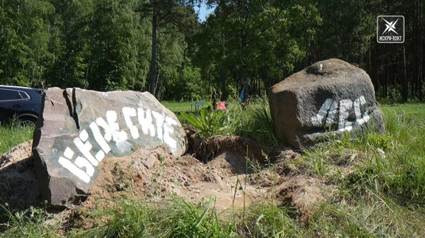 Внесли вклад в будущее. Акцию «Чистый лес» провели в Воскресенске
